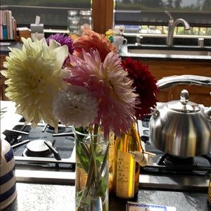 Meet your Posher, Jan